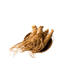 Panax Ginzeng